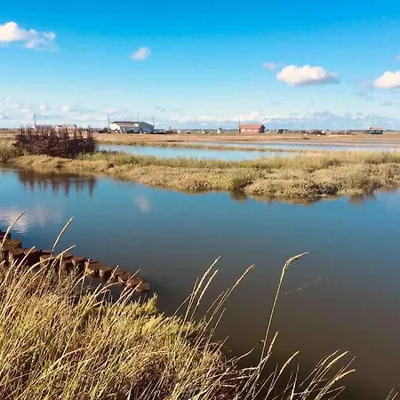 Les Oyats Locations, Cordouan