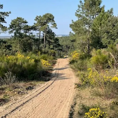 Les Oyats Locations, Cordouan Holiday home
